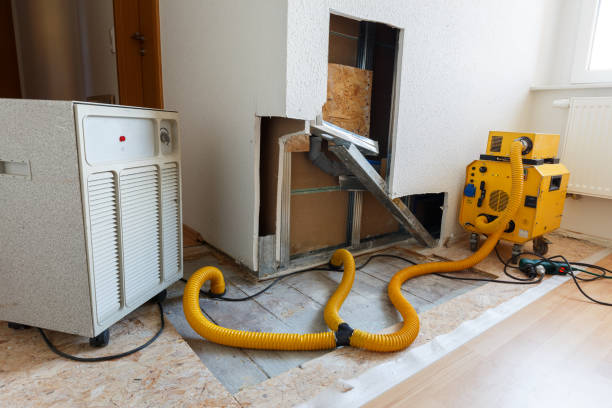 Best Comprehensive Air Testing for Mold Contaminants  in Wilmington Manor, DE