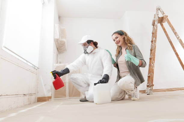 Best Dehumidification Services  in Wilmington Manor, DE