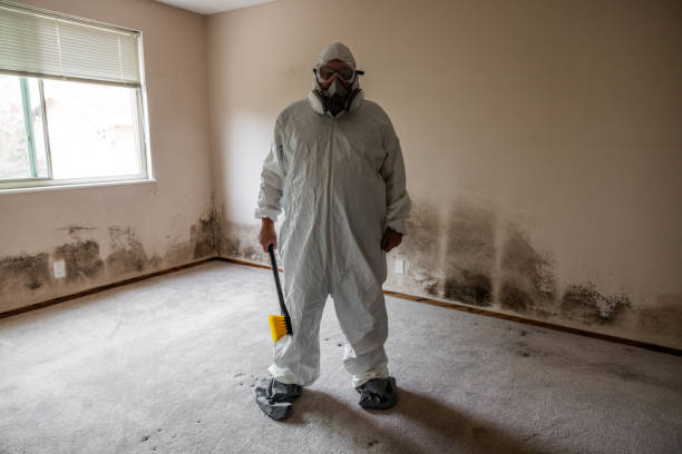 Best Mold Removal for HVAC Installations  in Wilmington Manor, DE